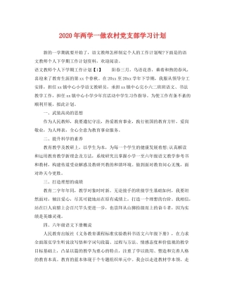 2020年两学一做农村党支部学习计划2