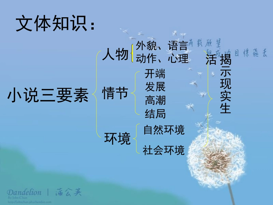 芦花荡 (3)_第3页