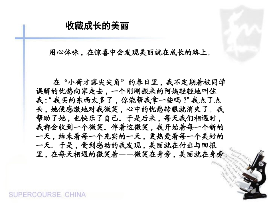 文章布局最巧妙的方法（二）_第3页
