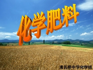 化学肥料集体备课1