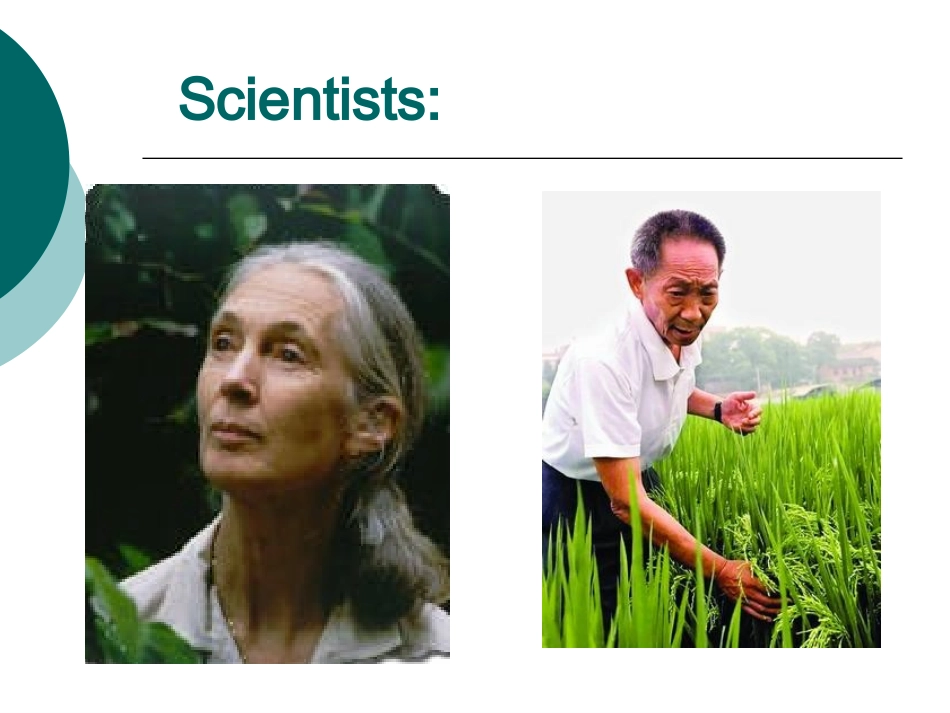 必修5Unit1Reading(阅读）_第2页