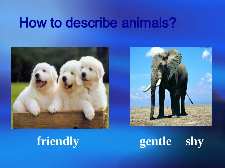 七年级英语下册_Unit_5SectionB第一课时_(2012新版)人教新目标版_第2页