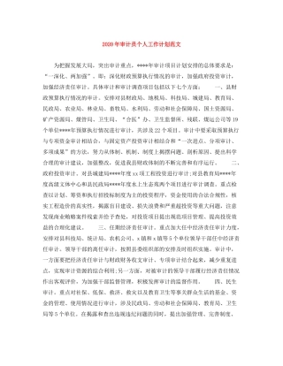 2020年审计员个人工作计划范文