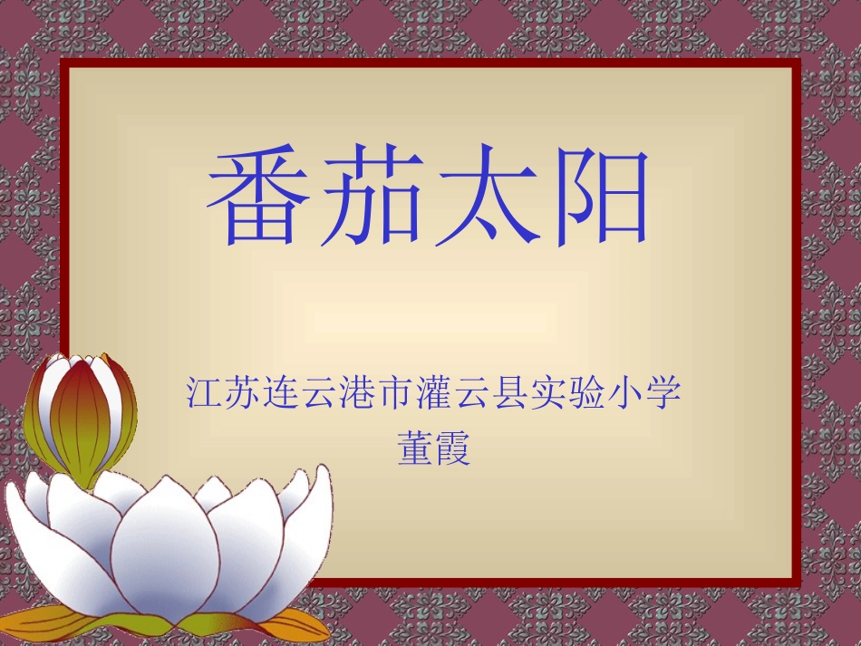 《番茄太阳》_第1页