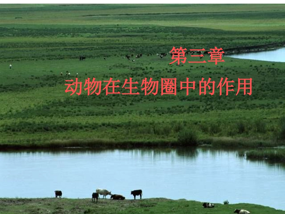 第三章动物在自然界中的作用4_第1页