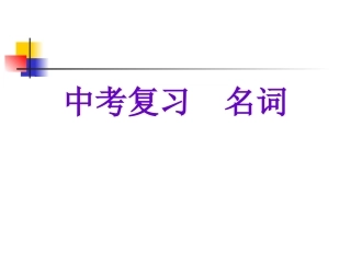中考复习-名词