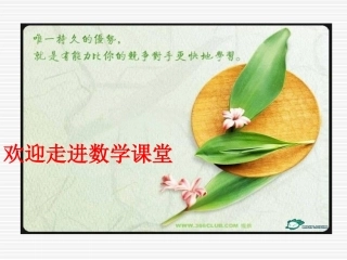 初中数学课件 (2)