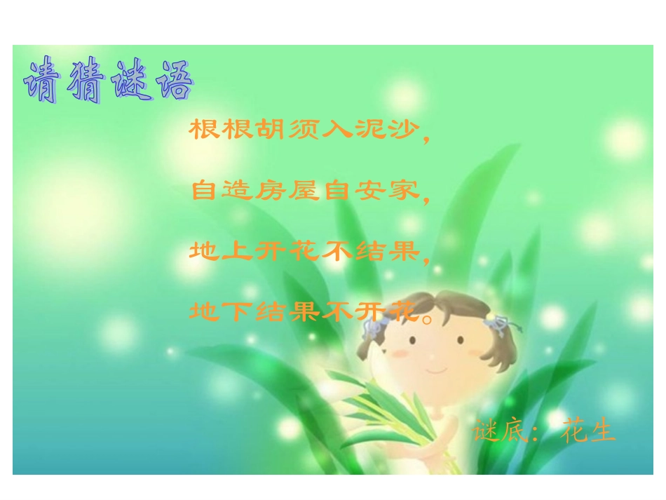 小学五年级语文人教版五年级上落花生册_第2页