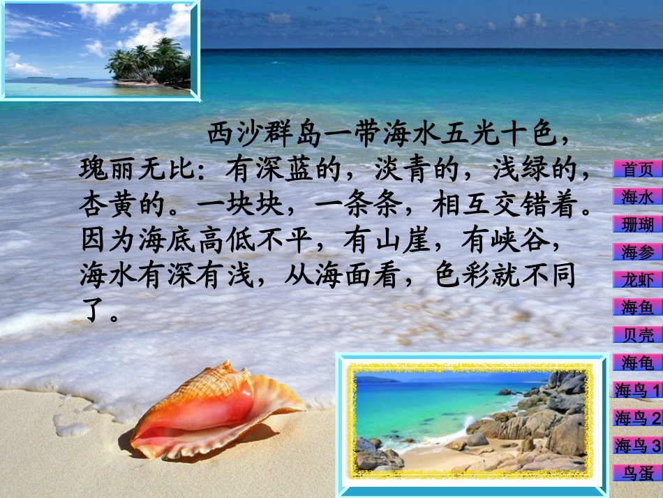 、富饶的西沙群岛_第2页