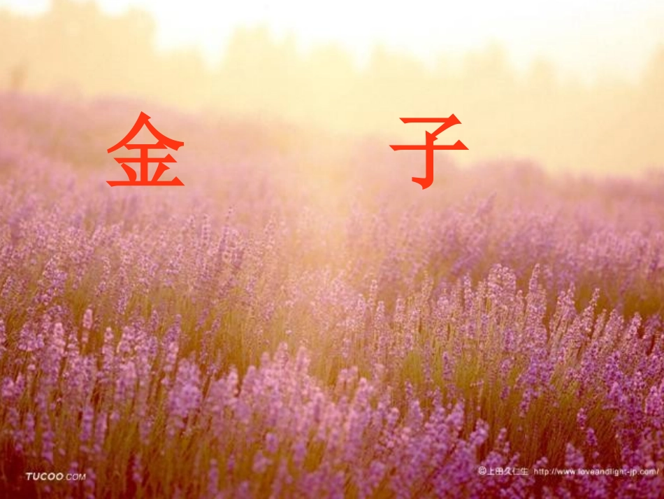 《金子》课件_第1页