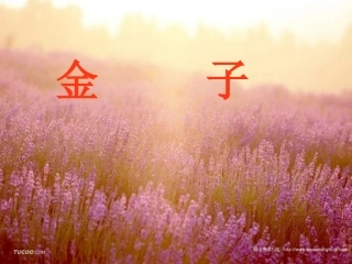 《金子》课件