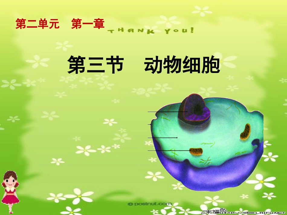 人教版七上第二单元第一章第三节动物细胞_第1页