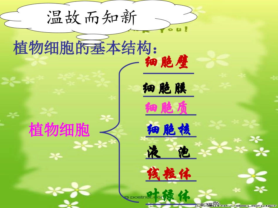 人教版七上第二单元第一章第三节动物细胞_第2页