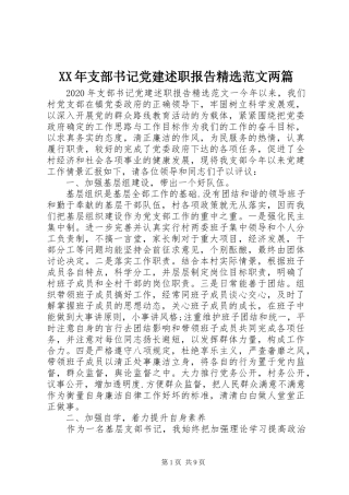 XX年支部书记党建述职报告精选范文两篇