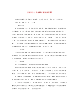 2020年11月农村支部工作计划