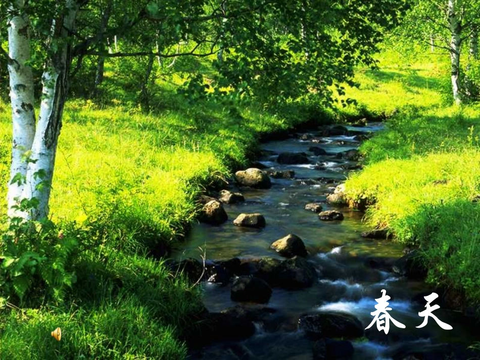 美丽的小兴安岭课件（北师大版语文三年级下册）_第3页