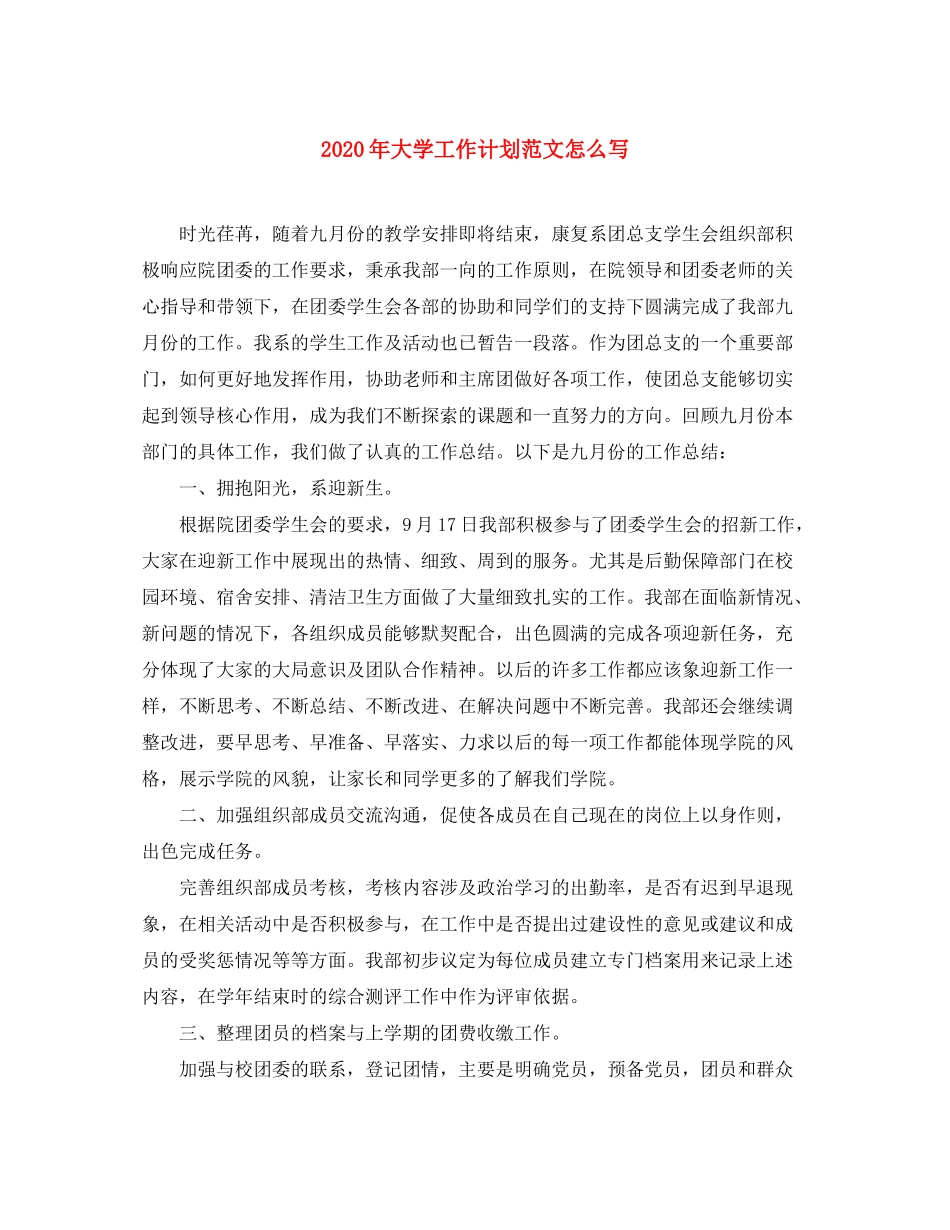 2020年大学工作计划范文怎么写_第1页