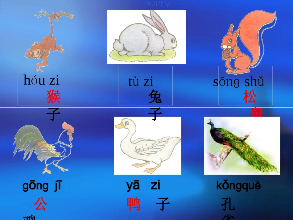 比尾巴课件 (2)_第3页