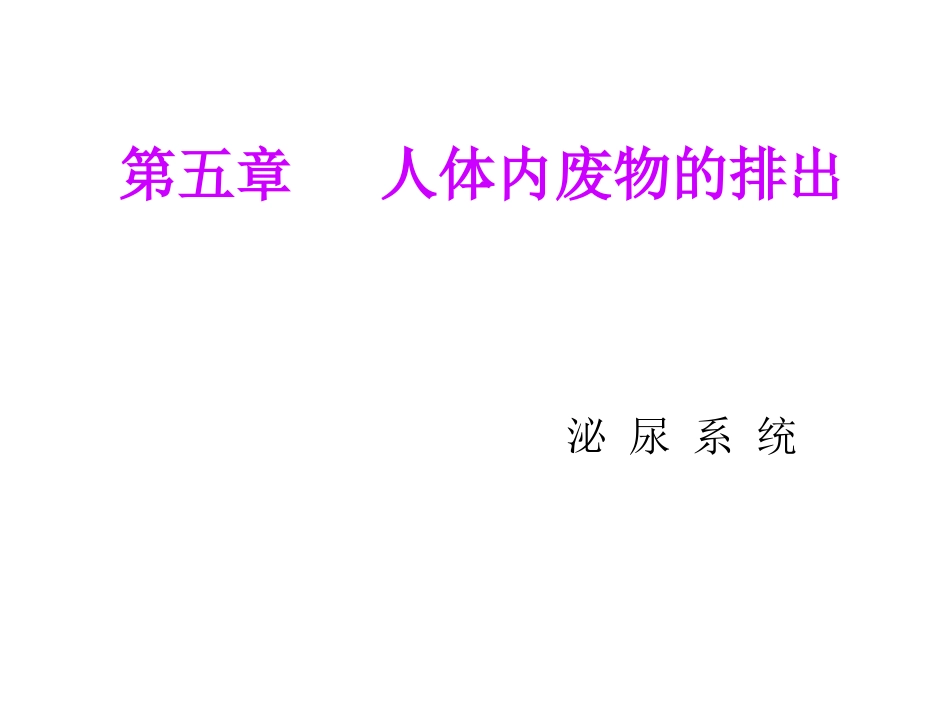 泌尿系统幻灯片_第1页