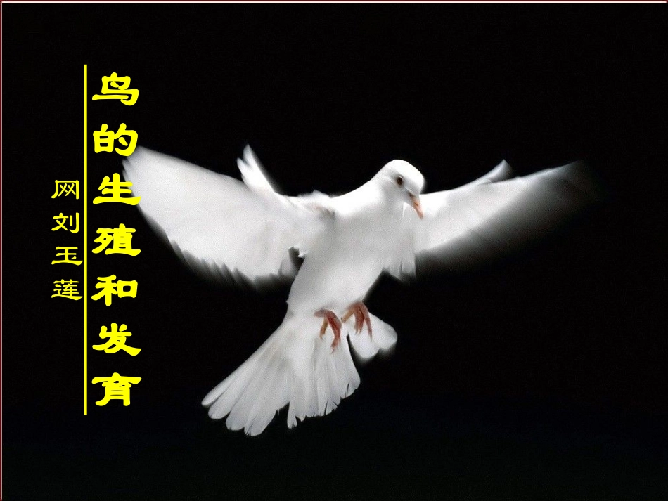 第七单元第一章第四节鸟的生殖和发育玉莲_第1页