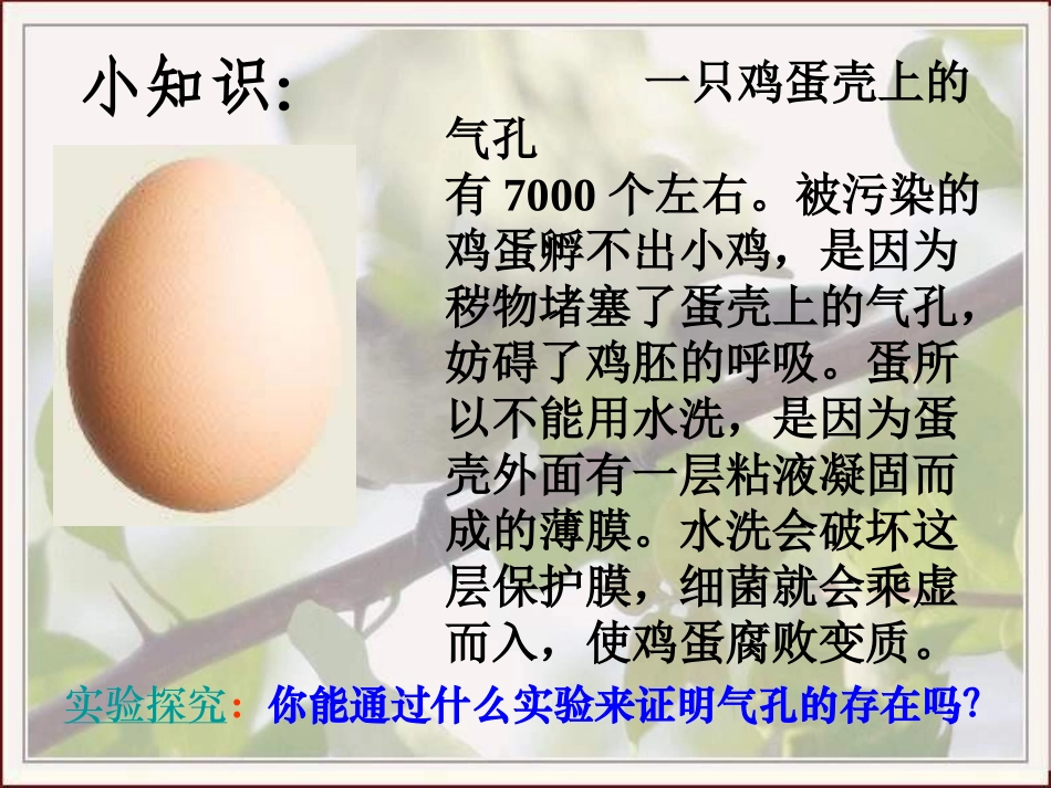 第七单元第一章第四节鸟的生殖和发育玉莲_第2页