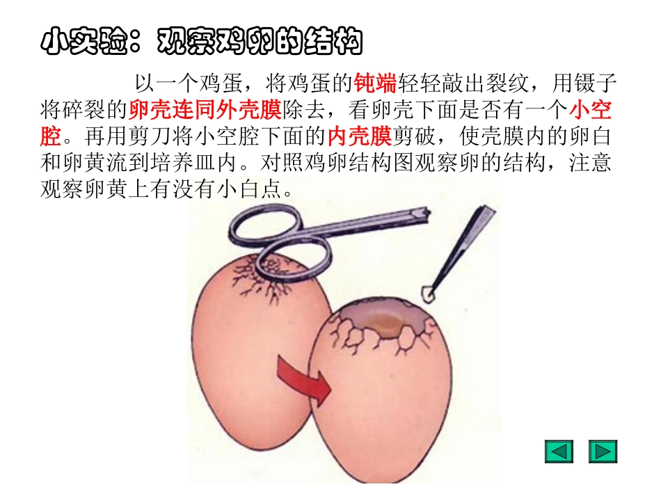 第七单元第一章第四节鸟的生殖和发育玉莲_第3页