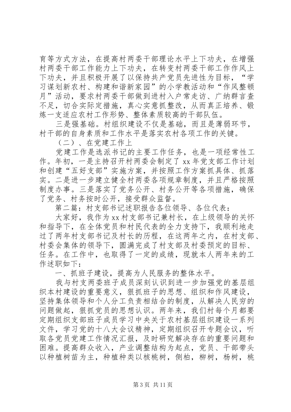 XX年新任村支部书记个人述职报告_第3页