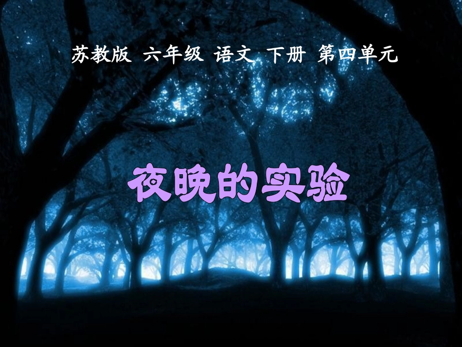 夜晚的实验课件_第2页