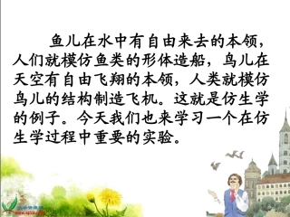 夜晚的实验课件