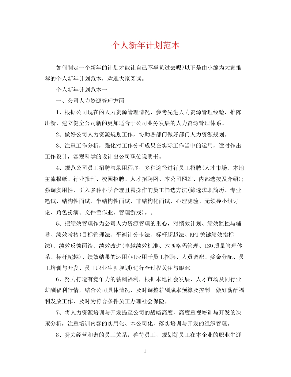 个人新年计划范本_第1页
