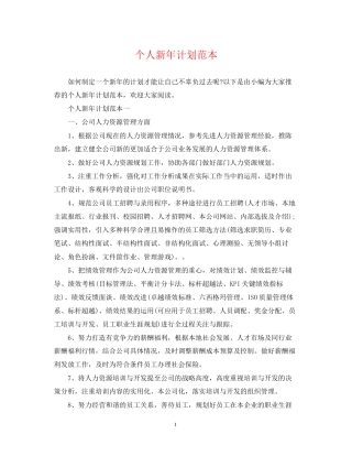 个人新年计划范本