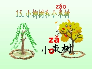 小柳树和小枣树-第一课时