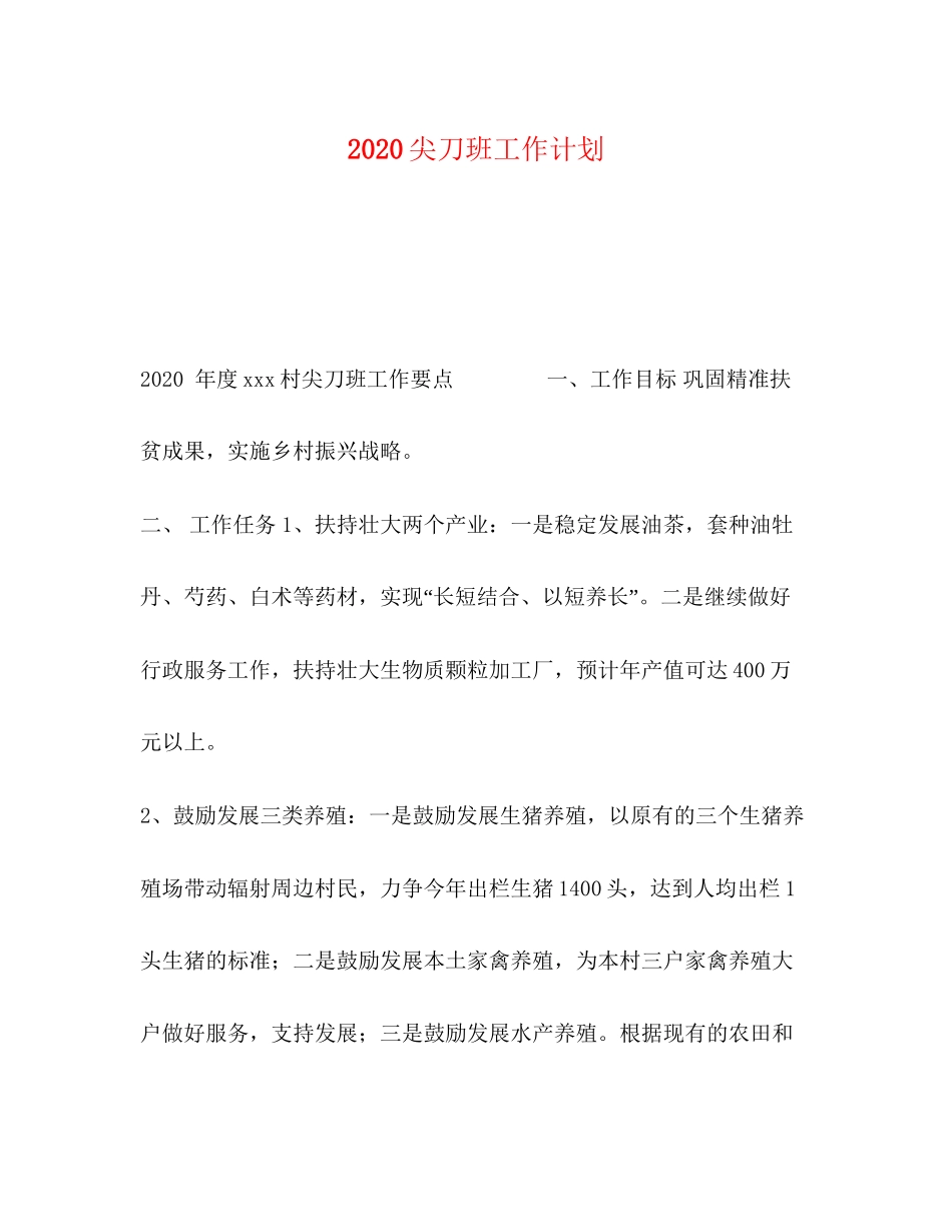 尖刀班工作计划_第1页