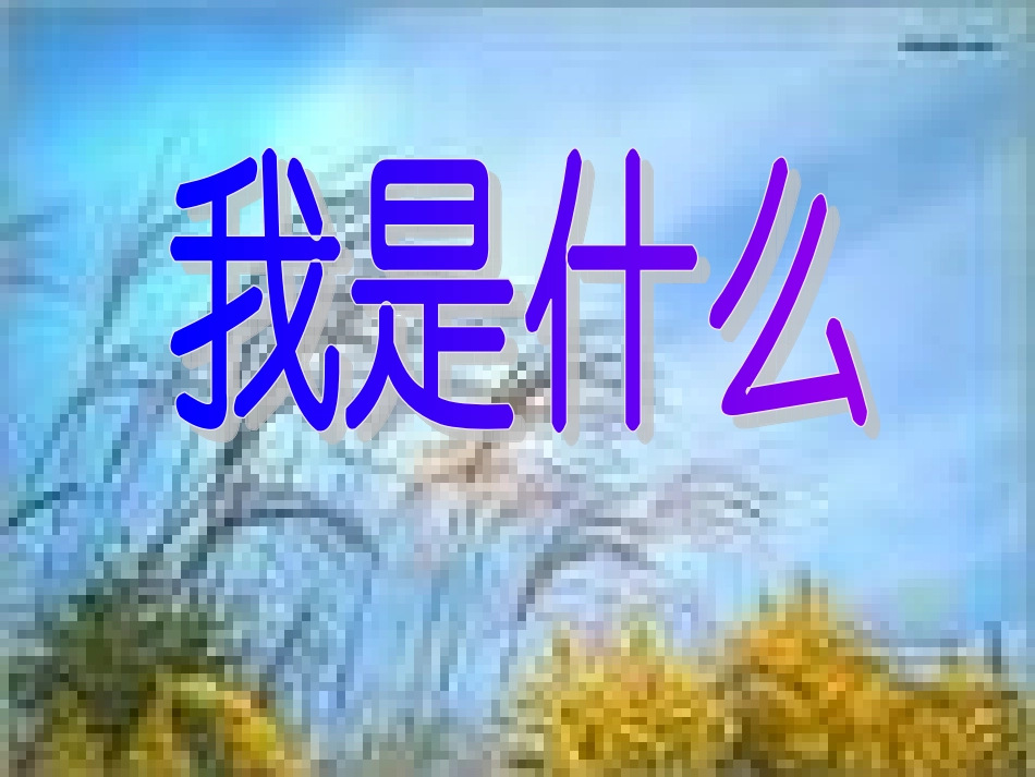 我是什么课件 (2)_第1页