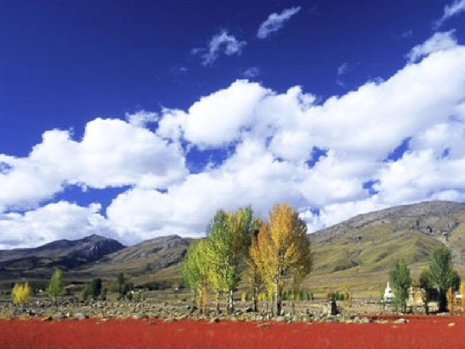 我是什么课件 (2)_第2页