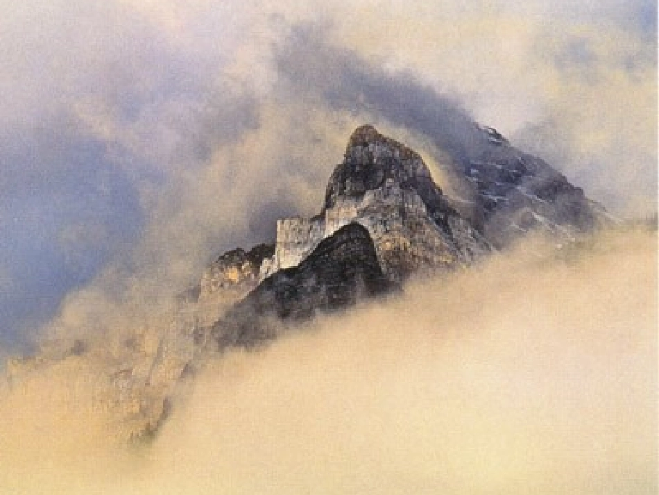 我是什么课件 (2)_第3页