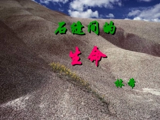 语文版九年级《石缝间的生命》课件
