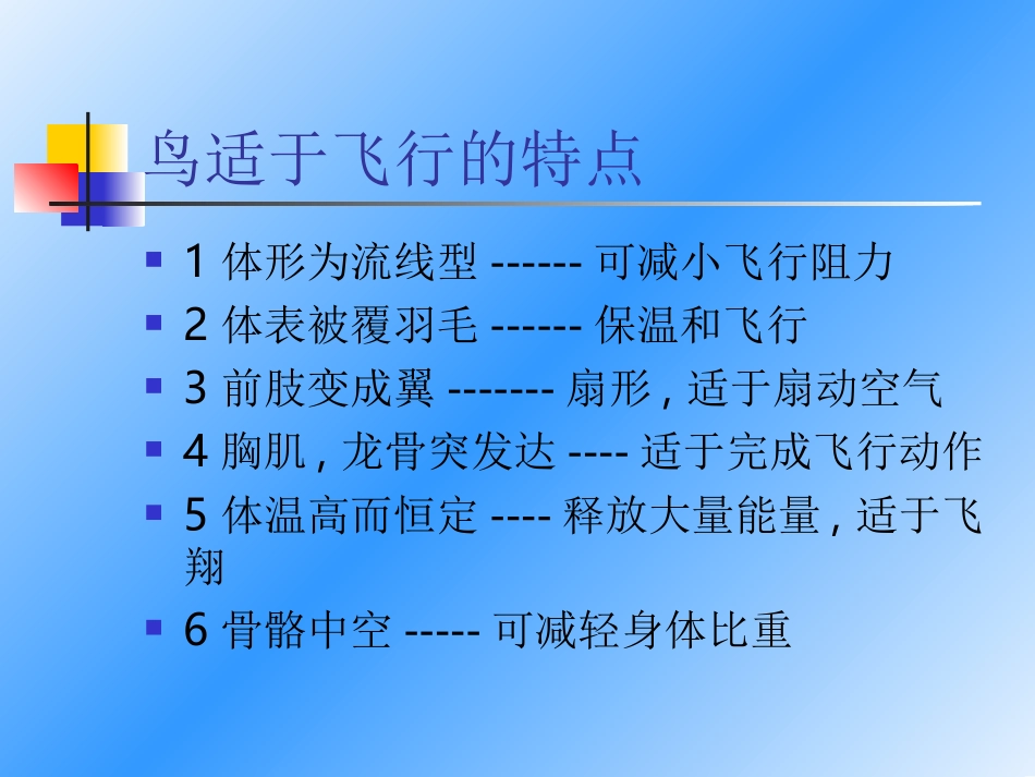 飞行动物---昆虫_第1页