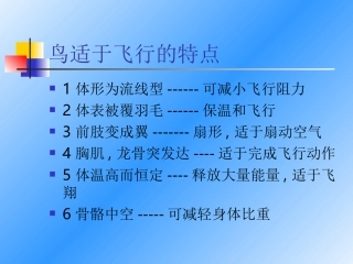 飞行动物---昆虫