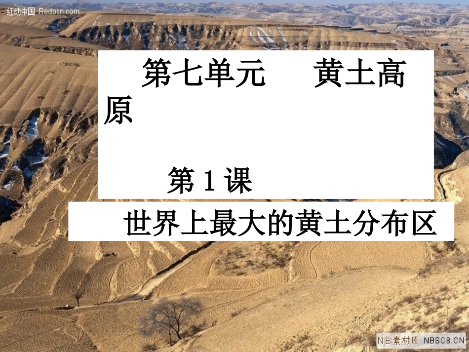 《世界上最大的黄土堆积区------黄土高原》课件_第2页