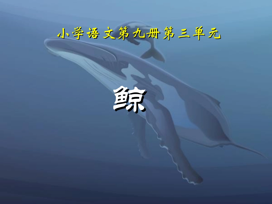 《鲸》教学课件 (2)_第1页