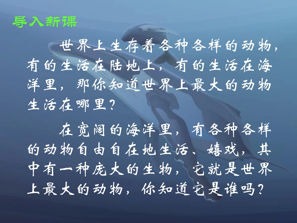 《鲸》教学课件 (2)_第2页