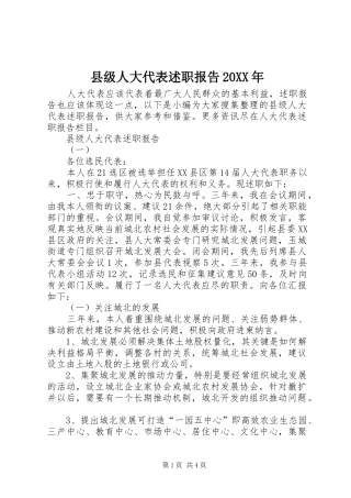 县级人大代表述职报告20XX年