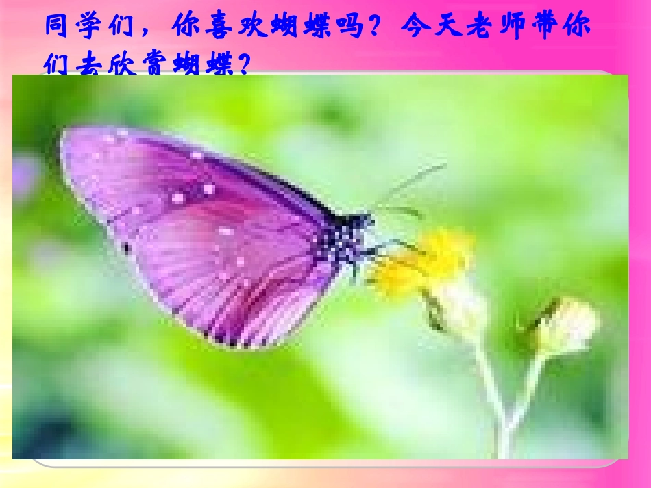 -台湾的蝴蝶谷_第1页