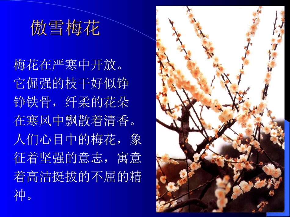 傲雪梅花一、二_第3页