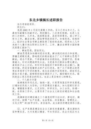 东北乡镇镇长述职报告