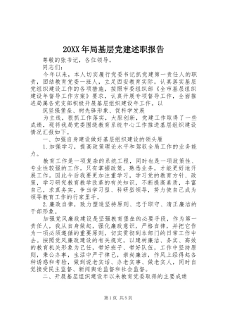 20XX年局基层党建述职报告