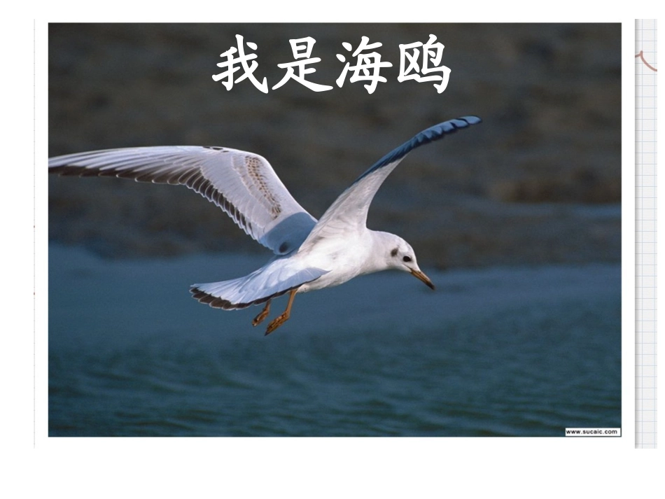 地球招聘清洁工(1)_第3页