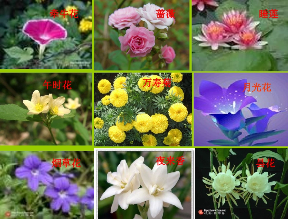 三年级上册《语文园地四》新_课件_第3页