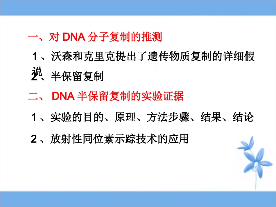 《DNA的复制》参考课件1_第2页